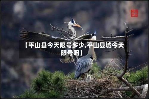 【平山县今天限号多少,平山县城今天限号吗】
