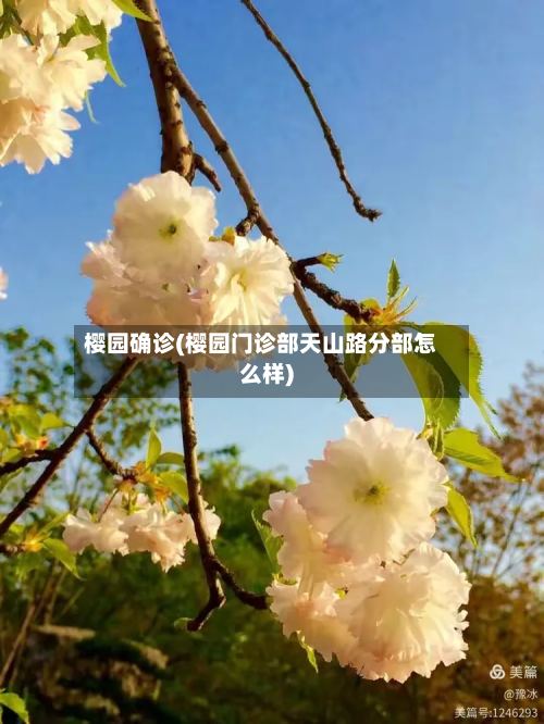 樱园确诊(樱园门诊部天山路分部怎么样)