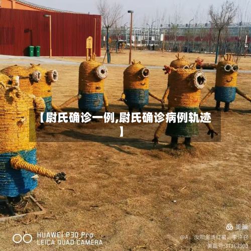 【尉氏确诊一例,尉氏确诊病例轨迹】