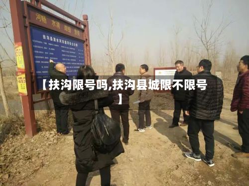 【扶沟限号吗,扶沟县城限不限号】-第3张图片