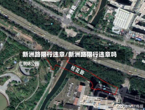 新洲路限行违章/新洲路限行违章吗