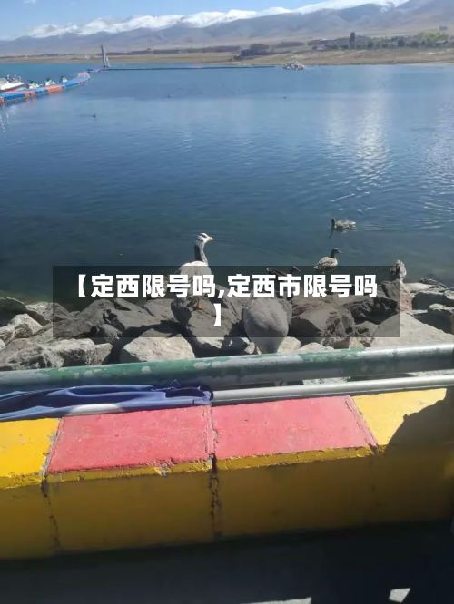 【定西限号吗,定西市限号吗】-第2张图片