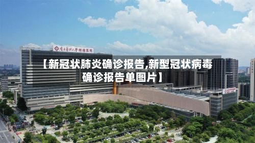 【新冠状肺炎确诊报告,新型冠状病毒确诊报告单图片】-第2张图片