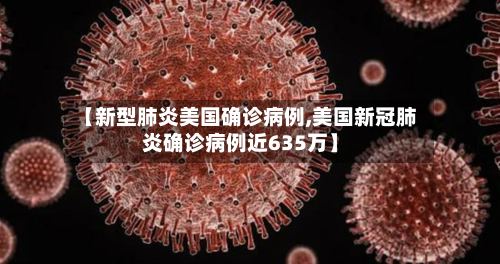 【新型肺炎美国确诊病例,美国新冠肺炎确诊病例近635万】-第3张图片