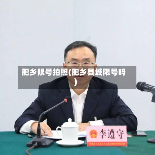 肥乡限号拍照(肥乡县城限号吗)-第3张图片