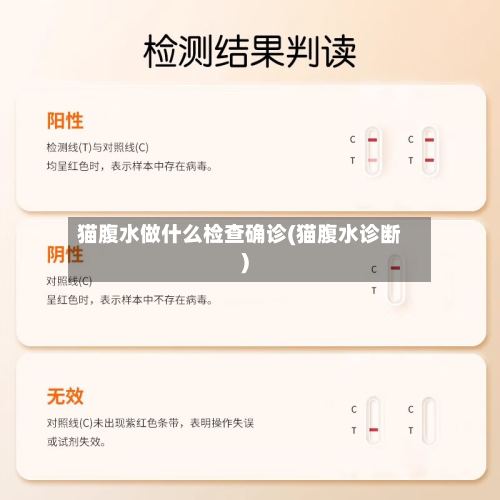 猫腹水做什么检查确诊(猫腹水诊断)-第3张图片