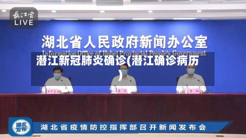 潜江新冠肺炎确诊(潜江确诊病历)-第2张图片