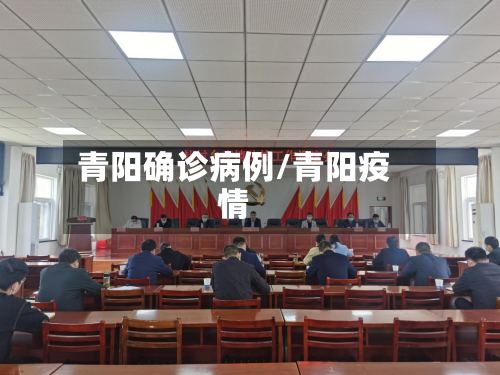 青阳确诊病例/青阳疫情-第2张图片