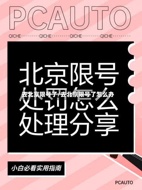 去北京限号了/去北京限号了怎么办-第3张图片