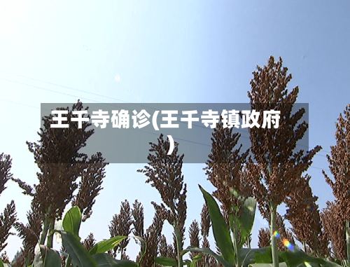 王千寺确诊(王千寺镇政府)