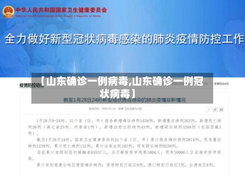 【山东确诊一例病毒,山东确诊一例冠状病毒】