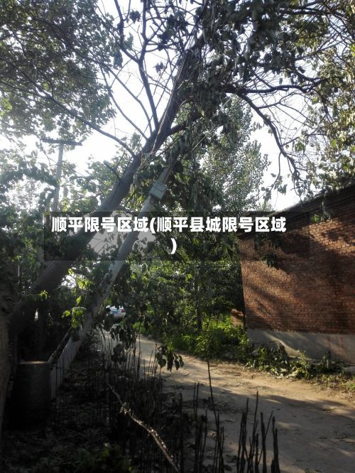 顺平限号区域(顺平县城限号区域)
