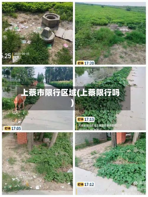 上蔡市限行区域(上蔡限行吗)