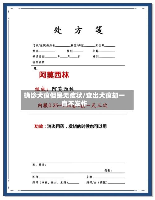 确诊犬瘟但是无症状/查出犬瘟却一直不发作