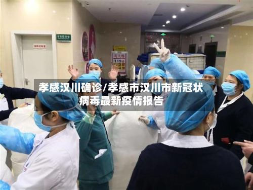 孝感汉川确诊/孝感市汉川市新冠状病毒最新疫情报告-第2张图片
