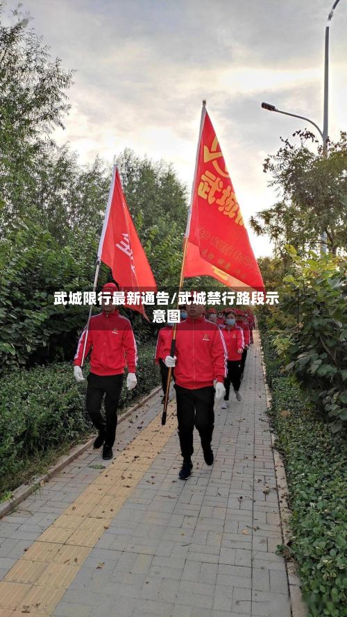 武城限行最新通告/武城禁行路段示意图-第3张图片