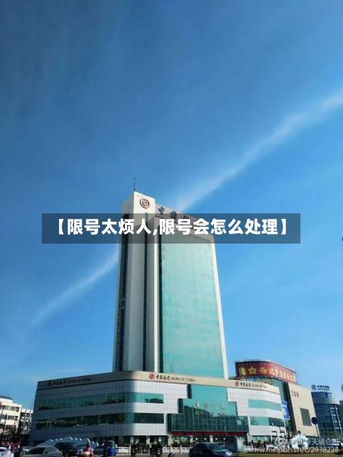 【限号太烦人,限号会怎么处理】-第3张图片