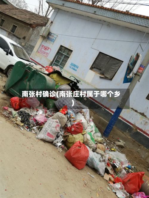 南张村确诊(南张庄村属于哪个乡)-第2张图片