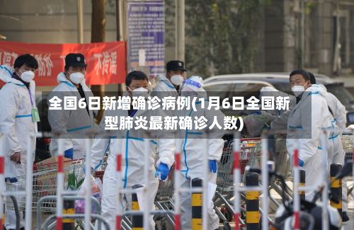 全国6日新增确诊病例(1月6日全国新型肺炎最新确诊人数)-第2张图片